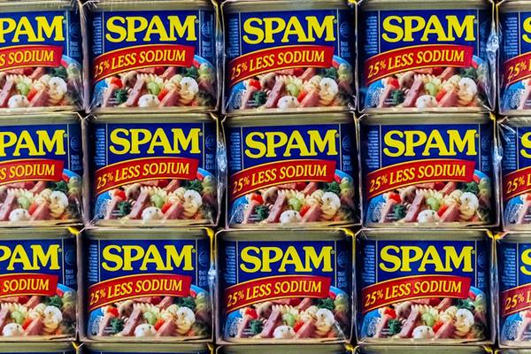 Spam-a-lot: Man goes viral after TSA finds bag of lunch meat at airport checkpoint