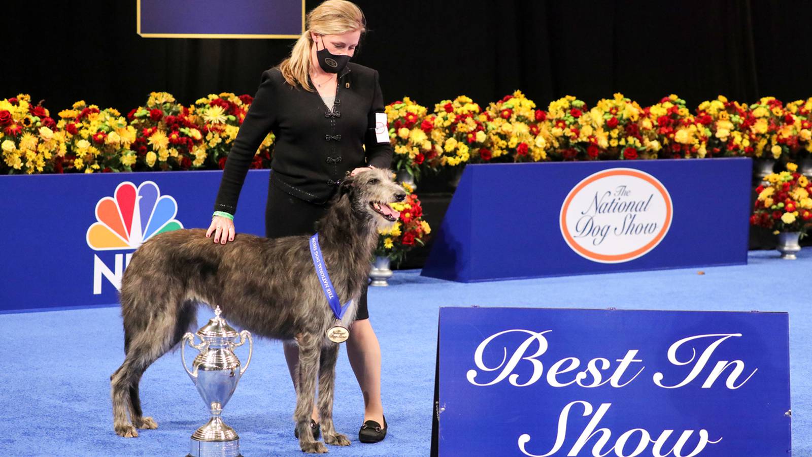 National Dog Show 2021 See the best in show, group winners Magic 102